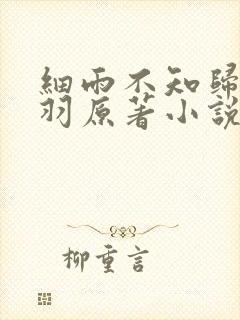 细雨不知归谢轻羽原著小说结局