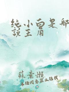 纯小白是哪部小说主角
