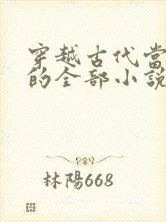 穿越古代当赘婿的全部小说