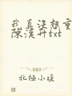 我真没想重生啊陈汉升txt