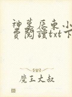 神墓辰东小说免费阅读txt下载