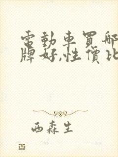 电动车买哪个品牌好,性价比高的