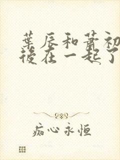 叶辰和萧初然最后在一起了吗