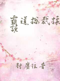 霸道总裁揉胸小说