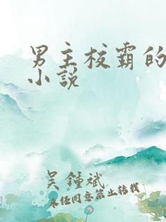 男主校霸的校园小说