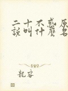 二十不惑原著小说叫什么名字来着