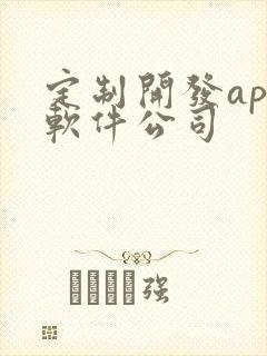 定制开发app软件公司