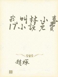 我叫林小喜今年17小说免费看