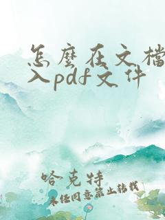 怎么在文档中加入pdf文件