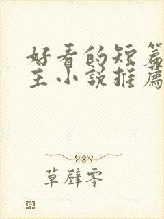 好看的短篇双男主小说推荐完结