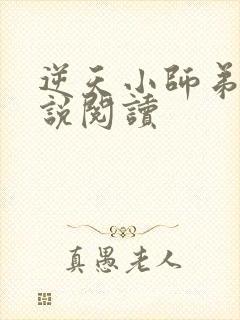 逆天小师弟 小说阅读