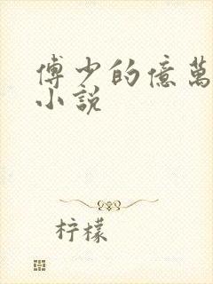 傅少的亿万甜妻小说