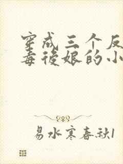 穿成三个反派恶毒后娘的小说