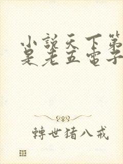 小说天下第九鹅是老五电子书全集