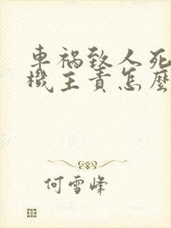 车祸致人死亡司机主责怎么判刑