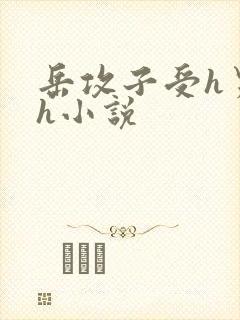 岳攻子受h男男h小说