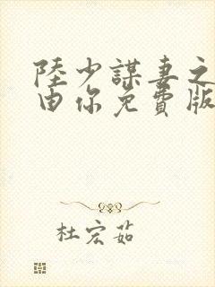陆少谋妻之婚不由你免费版