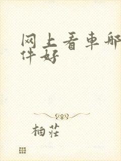 网上看车哪个软件好