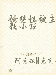 骚双性被主人调教小说