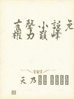 有声小说免费听权力巅峰