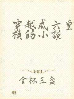 穿越成六皇子朱桢的小说