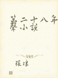 第二十八年春有声小说