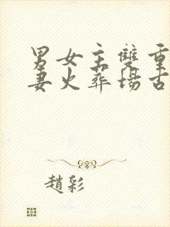 男女主双重生追妻火葬场古言