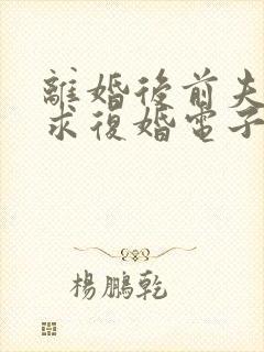 离婚后前夫哭着求复婚电子书阅读