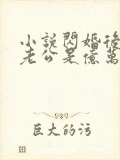 小说闪婚后发现老公是亿万富豪