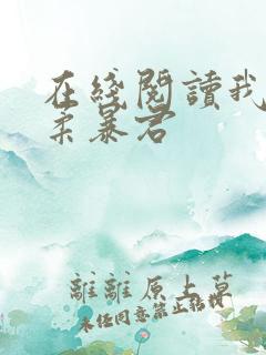 在线阅读我的温柔暴君