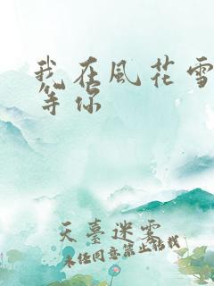 我在风花雪月里等你