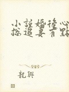 小说婚后心动凌总追妻有点甜免费阅读