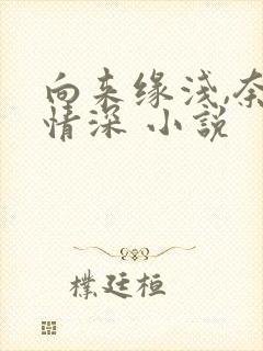 向来缘浅,奈何情深 小说