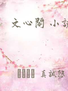 文心阁 小说
