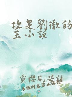 攻是刘彻的双男主小说