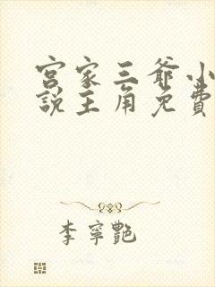 宫家三爷小叔小说主角免费阅读