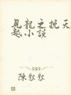 见龙之挽天倾穿越小说