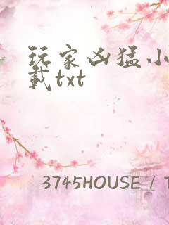 玩家凶猛小说下载txt