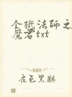 全职法师之黑暗魔君txt