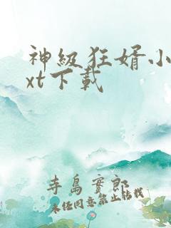 神级狂婿小说txt下载
