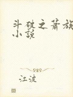 斗破之萧族冰圣小说