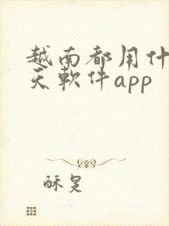 越南都用什么聊天软件app