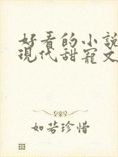 好看的小说言情现代甜宠文