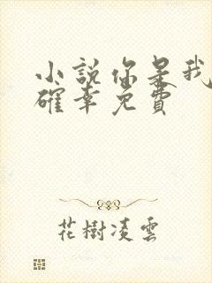 小说你是我的小确幸免费