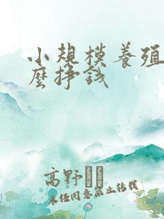 小规模养殖养什么挣钱