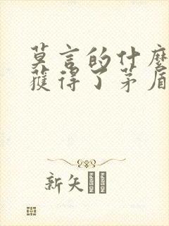 莫言的什么作品获得了茅盾文学奖