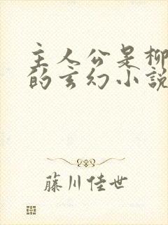 主人公是柳无邪的玄幻小说