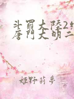 斗罗大陆2绝世唐门大明二明