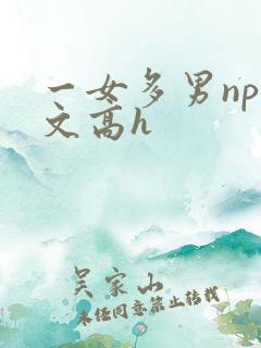 一女多男np辣文高h
