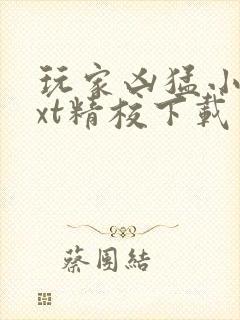 玩家凶猛小说txt精校下载